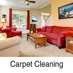 https://amcleancarpet.com/wp-content/uploads/Carpet-Cleaning_americlean_link.jpg